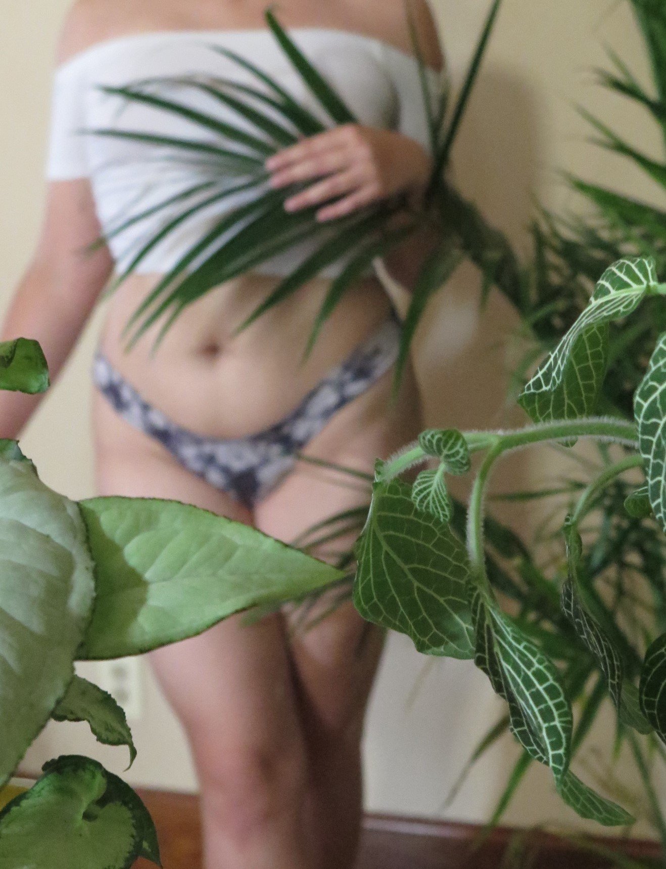 Plant Babe-photo
